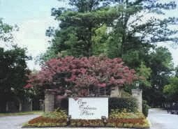 Lovely Light Updated Galleria Townhouse  in Houston, TX