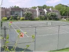 Lovely Light Updated Galleria Townhouse  in Houston, TX (Photo 4 of 6)