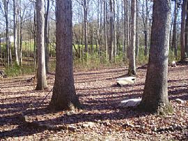 Great location! 3 or 4 bed/1 bath  in Gainesville, GA (Photo 5 of 5)