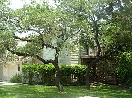 Paradise on 1.4 wooded acres! in Austin, TX