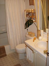 TRENDY CONDO, RENT TO OWN in Gahanna, OH (Photo 3 of 6)