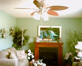 TRI LEVEL/Section8=OK/PossibleLeasePurch in Chuckey, TN (Photo 5 of 6)