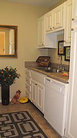 2 Bedroom 2 Bathroom - $1000 in Savings! in Knoxville, TN (Photo 4 of 8)