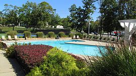 2 Bedroom 2 Bathroom - $1000 in Savings! in Knoxville, TN (Photo 5 of 8)