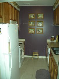 Beautifully decorated, new const condo in Woodhaven, MI (Photo 4 of 6)