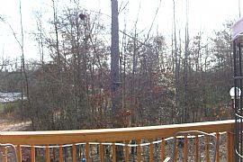 Cozy Country Living in Gainesville, GA (Photo 6 of 6)