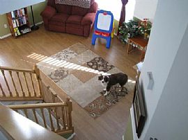 3BD 2.5 BATH IN GATED COMMUNITY ELEMENTA in Spanaway, WA (Photo 2 of 6)