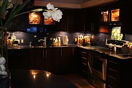 Bayshore Blvd Waterfront Condo in Tampa, FL (Photo 2 of 6)