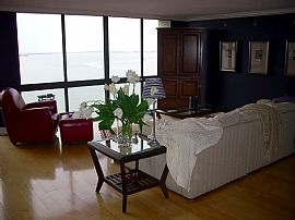 Bayshore Blvd Waterfront Condo in Tampa, FL (Photo 4 of 6)