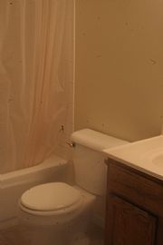 Nice Single Family Home  in Port Huron, MI (Photo 4 of 6)