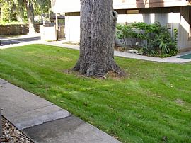 FOR RENT NEWLY REMODELED TOWNHOUSE in Port Orange, FL (Photo 2 of 5)