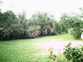 House for Rent - safe/quiet neighborhood in Deltona, FL (Photo 2 of 6)