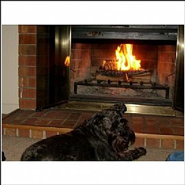 Awesome Stainless Steel Appliannces in Nashville, TN (Photo 5 of 6)