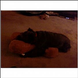 Awesome Stainless Steel Appliannces in Nashville, TN (Photo 6 of 6)