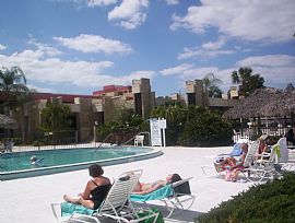 Live On The 7th Hole  7 Lakes Golfcourse in Fort Myers, FL