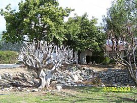 3 Bedroom, 2 Bath house in Upland in Upland, CA