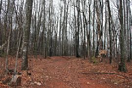Isolated Chalet - Enjoy! in Stuart, VA (Photo 4 of 6)