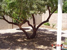 $1050/3br-2bath:1300sqft Available May 3 in Glendale, AZ (Photo 5 of 6)