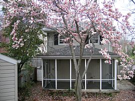 4 bedroom 3 full bath single family home in Falls Church, VA (Photo 4 of 6)