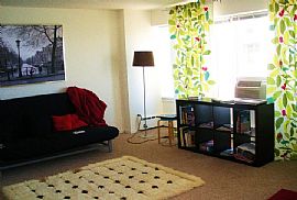 Beautiful Spacious Corner Apt in Chicago, IL