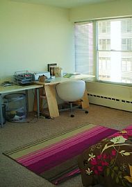 Beautiful Spacious Corner Apt in Chicago, IL (Photo 4 of 6)