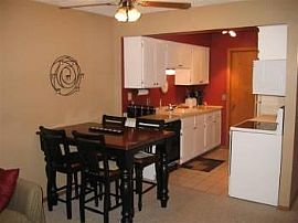 Stunning 2 BD Townhouse with fireplace!! in Brooklyn Center, MN (Photo 3 of 3)