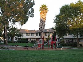 Open House Sat. June 6 from 2-4PM in Union City, CA (Photo 3 of 6)