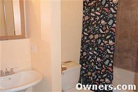 3 Beroom House for rent in Willow Springs, IL (Photo 5 of 6)