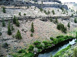 Gorgeous setting on Deschutes River! in Crooked River Ranch, OR (Photo 5 of 6)