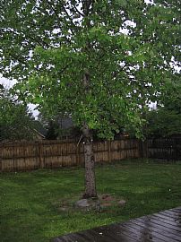 Beautiful! Must See! New Washer & Dryer in Memphis, TN (Photo 2 of 4)