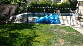 3 BR Encino Gem in Encino, CA (Photo 5 of 5)