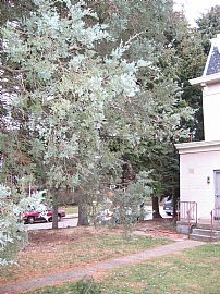 One bdrm apartment- All Utilities includ in Pittsburgh, PA (Photo 6 of 6)