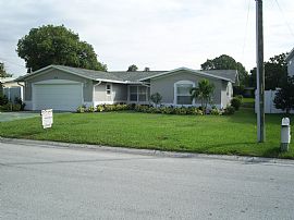 Waterfront Home in Palm Harbor, FL