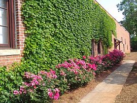 Loft near Downtown Decatur in Avondale Estates, GA (Photo 3 of 3)
