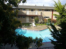 Studio in a Garden Apartment Setting in Sunnyvale, CA