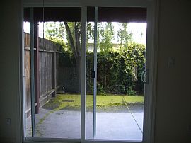 Studio in a Garden Apartment Setting in Sunnyvale, CA (Photo 4 of 4)