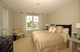 Huge Two Bedroom Apt for Rent in Red Bank, NJ (Photo 3 of 3)