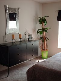 Arbour Apartments MOVE IN SPECIALS  in Orlando, FL (Photo 5 of 5)