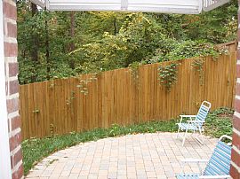 One Bedroom Condo w/ Patio, on Sligo Cr. in Takoma Park, MD (Photo 5 of 6)