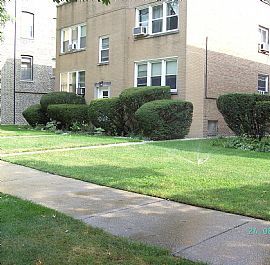 Condo for Rent in Evanston, IL