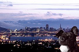 House of 6 needs one more housemate in Oakland, CA