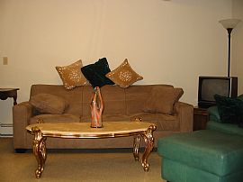 Spacious, Clean Furnished 1 BR Util.Incl in Ozone Park, NY