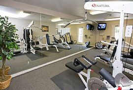 Spacious 2-3 BDRM APT. in Bozeman, MT (Photo 5 of 6)