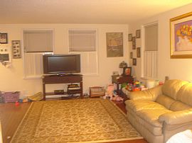 Commuter's Dream!  Updated TH 2BR+DEN in Arlington, VA (Photo 4 of 4)