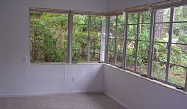 4/2 Near FSU Stadium in Tallahassee, FL (Photo 4 of 6)