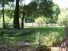 EXECUTIVE POOL HOME IN GATED MAGNOLIA! in Green Cove Springs, FL (Photo 6 of 6)