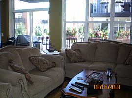 Gorgeous New Condo in Chicago, IL