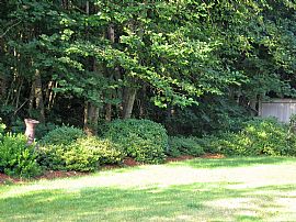 4 Bedroom 2.5 Bath home for Rent in North Bend, WA (Photo 2 of 6)