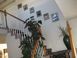 Briargate D-20 home close to all Schools in Colorado Springs, CO (Photo 6 of 6)