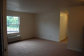 Newly Remodeled Apartment  in Newport News, VA
